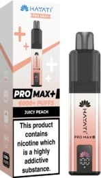 Hayati Pro Max+ 6K Puffs Vape Kit - Image 22