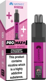 Hayati Pro Max+ 6K Puffs Vape Kit - Image 32